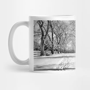 Winter Grandeur Mug